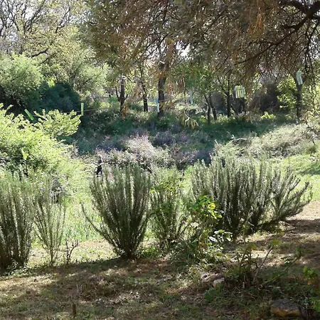 Handmade House 펜션 아카라비