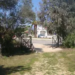 Case de vacanță Handmade House