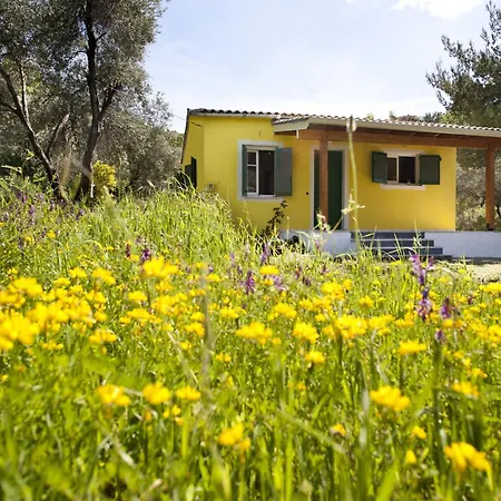 Сasa de vacaciones Handmade House