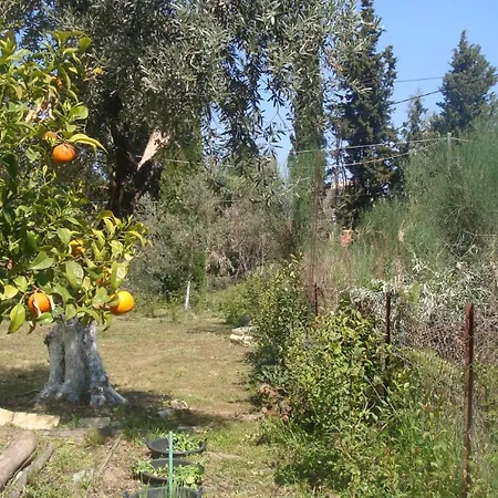 Handmade House * Acharavi (Corfu)