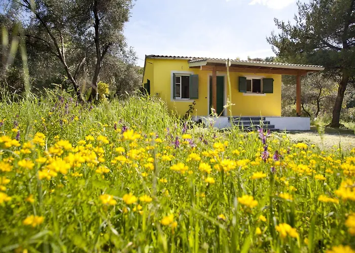 Vakantiehuis Handmade House