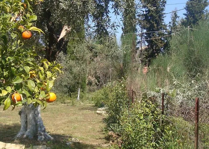 Handmade House * Acharavi (Corfu)
